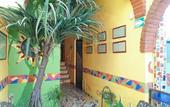 Туры в отель Coyotito Beds San Angel