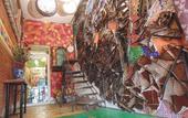 Туры в отель Coyotito Beds San Angel