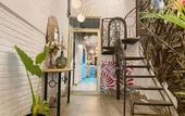 Туры в отель Coyotito Beds San Angel