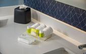 Туры в отель Holiday Inn & Suites Aguascalientes by IHG