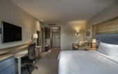 Туры в отель Holiday Inn & Suites Aguascalientes by IHG