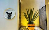 Туры в отель Cadillac Hotel Boutique