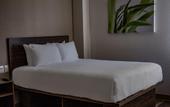 Туры в отель Extended Suites Queretaro Juriquilla