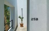 Туры в отель Drift San Jose del Cabo, a Member of Design Hotels