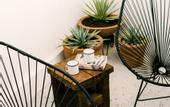 Туры в отель Drift San Jose del Cabo, a Member of Design Hotels
