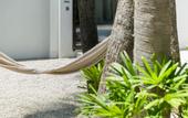Туры в отель Drift San Jose del Cabo, a Member of Design Hotels