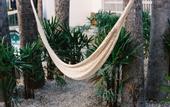 Туры в отель Drift San Jose del Cabo, a Member of Design Hotels