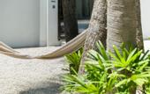 Туры в отель Drift San Jose del Cabo, a Member of Design Hotels