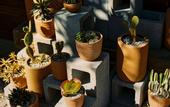 Туры в отель Drift San Jose del Cabo, a Member of Design Hotels