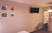 Туры в отель Coyotito Beds Coyoacan