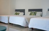 Туры в отель Hotel Suites Arges - Centro Chetumal