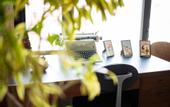 Туры в отель Hotel Boutique Lafayette Tijuana