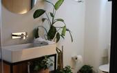 Туры в отель Hotel Boutique Lafayette Tijuana