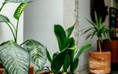 Туры в отель Hotel Boutique Lafayette Tijuana