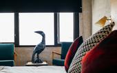 Туры в отель Hotel Boutique Lafayette Tijuana