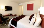Туры в отель Hotel Mision Express San Juan Del Rio