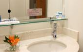 Туры в отель Hotel Mision Express San Juan Del Rio