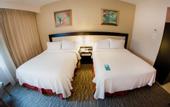 Туры в отель Excellence Express San Juan del Rio