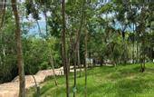 Туры в отель MBH Maya Bacalar Hotel Boutique