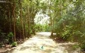 Туры в отель MBH Maya Bacalar Hotel Boutique