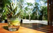 Туры в отель MBH Maya Bacalar Hotel Boutique