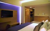 Туры в отель Hotel Mexico Plaza Queretaro