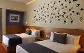 Туры в отель Hotel Mexico Plaza Queretaro