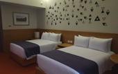 Туры в отель Hotel Mexico Plaza Queretaro
