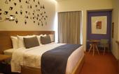 Туры в отель Hotel Mexico Plaza Queretaro