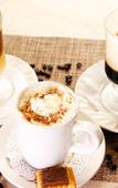 Туры в отель Hotel Plaza de Oro