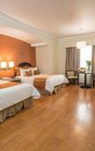 Туры в отель Hotel Plaza de Oro