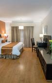 Туры в отель Hotel Plaza de Oro