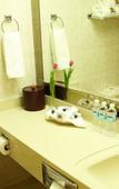 Туры в отель Hotel Plaza de Oro