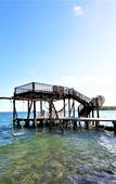 Туры в отель Coras Place Bacalar Lagoon Front