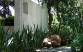 Туры в отель Hotel & Spa Luna Canela Boutique