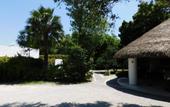 Туры в отель Hotel & Spa Luna Canela Boutique
