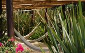 Туры в отель Hotel & Spa Luna Canela Boutique