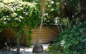 Туры в отель Hotel & Spa Luna Canela Boutique
