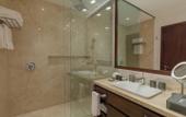 Туры в отель Camino Real Merida