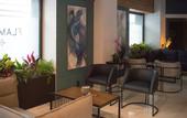Туры в отель Hotel Flamencos Centro Historico
