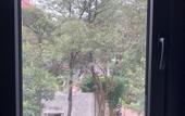 Туры в отель Hotel Flamencos Centro Historico