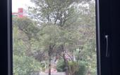 Туры в отель Hotel Flamencos Centro Historico