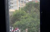 Туры в отель Hotel Flamencos Centro Historico