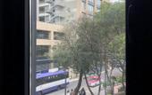 Туры в отель Hotel Flamencos Centro Historico