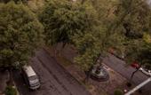 Туры в отель Hotel Milan CDMX