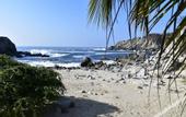 Туры в отель Coral Blue Huatulco All Inclusive