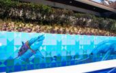 Туры в отель Villas Coral Huatulco