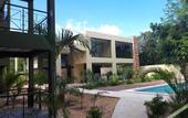 Туры в отель LOL-HA Cancun Boutique Hotel