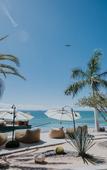 Туры в отель Orchid House Baja & Beach Club