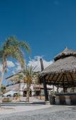 Туры в отель Orchid House Baja & Beach Club